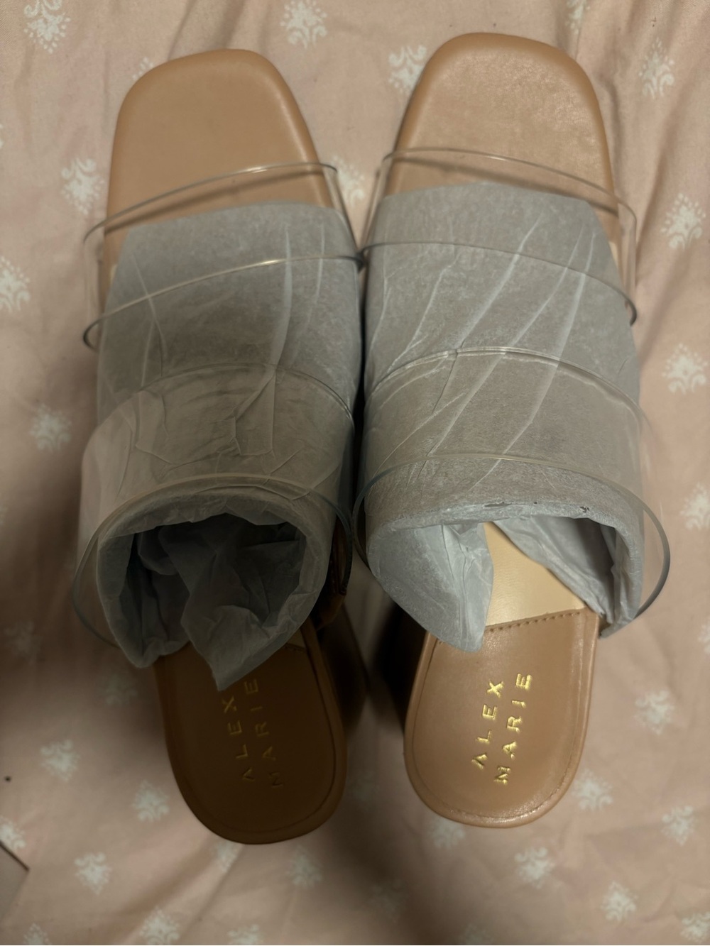 Alex Marie Clear Strap Slide Mules in Nude and Clear